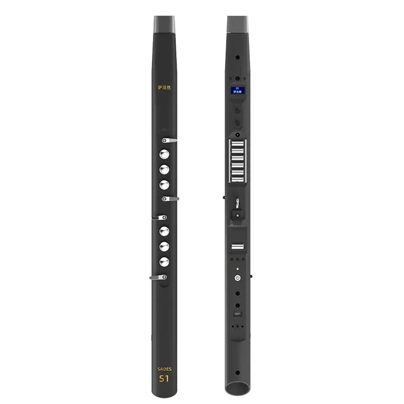 Musical Instrument For Beginners - Electric Wind Instrument, Beginner Friendly, Professional